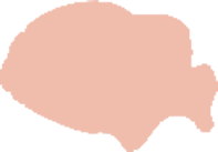 자리돔